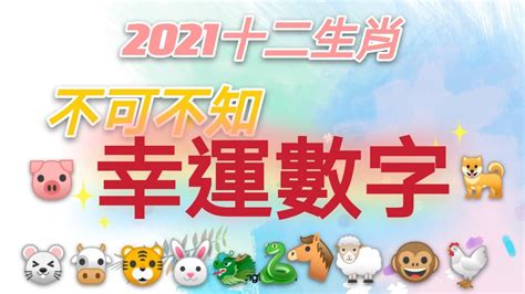 屬兔的幸運數字|12生肖最強開運秘訣 幸運數字、顏色與方位都要筆記。